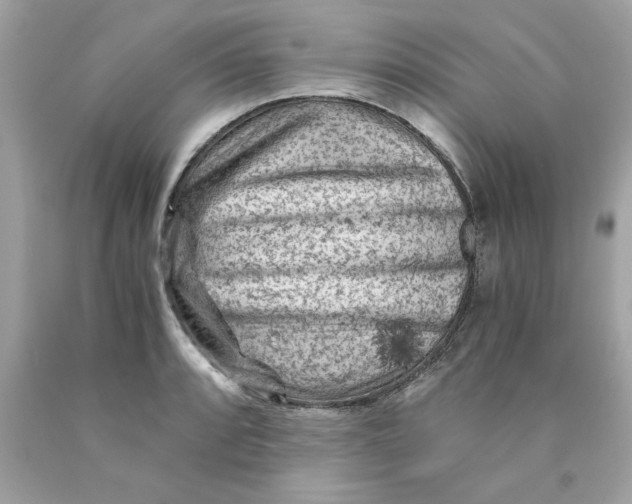 X0000089951088200707201920