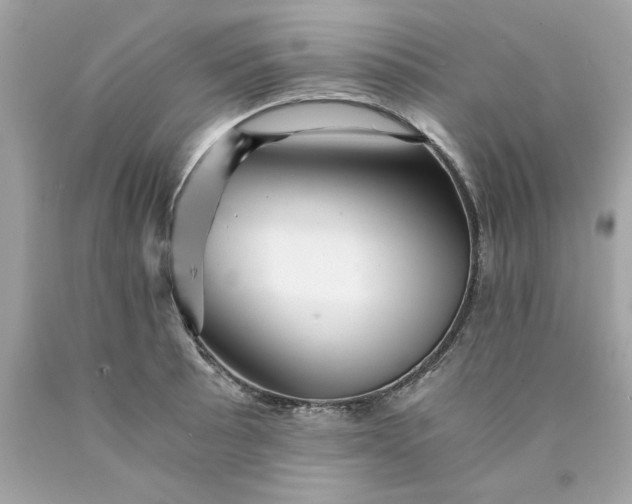 X0000089951089200707201920