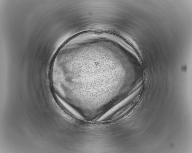 X0000089951091200707201920