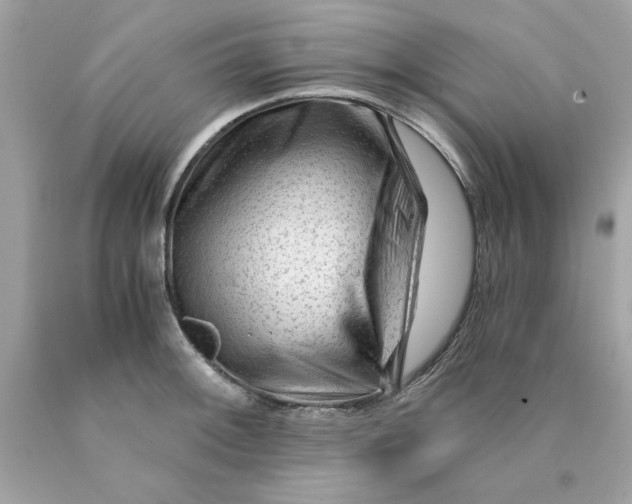 X0000089951092200707201920