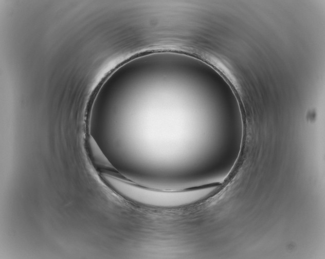 X0000089951093200707201920