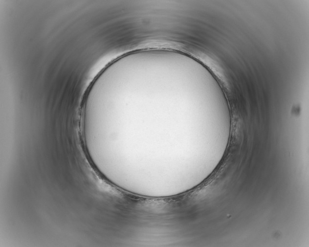 X0000089951094200707201920