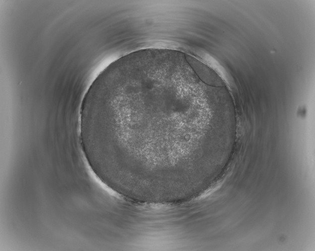 X0000089951095200707201920