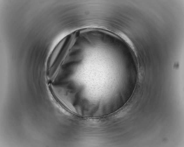 X0000089951096200707201920