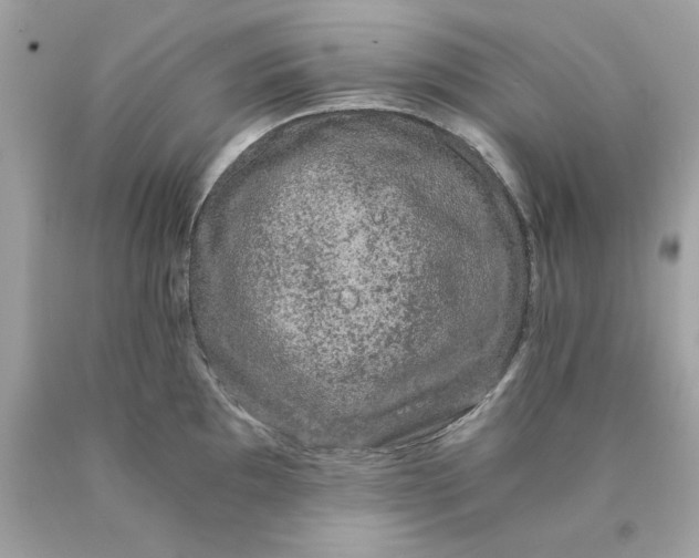 X0000089951097200707201920