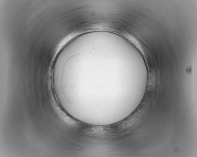 X0000089951098200707201920