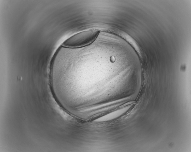 X0000089951099200707201920