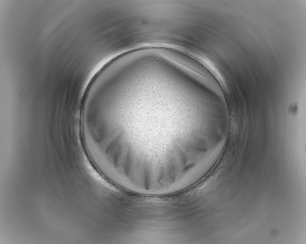 X0000089951100200707201920