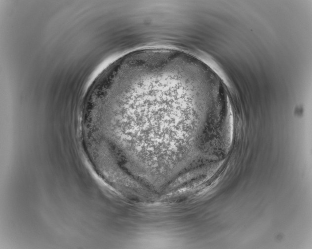 X0000089951101200707201920