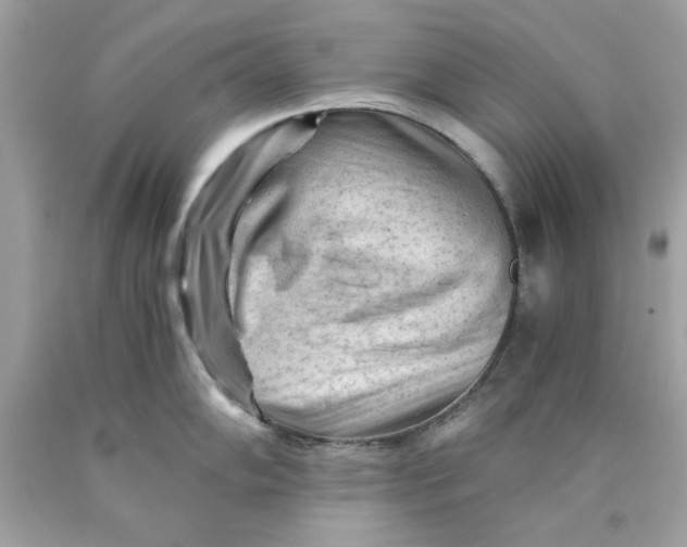 X0000089951102200707201920