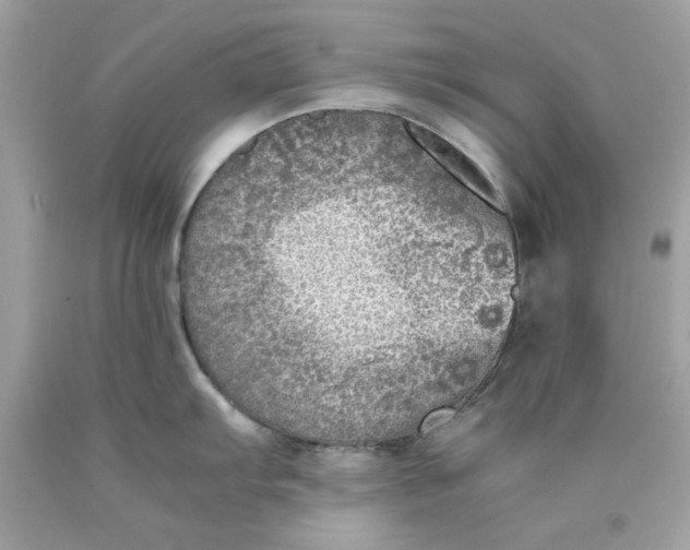 X0000089951103200707201920