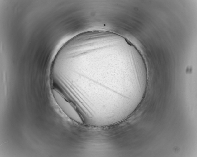 X0000089951104200707201920