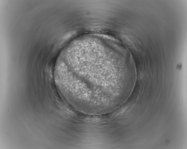 X0000089951106200707201919