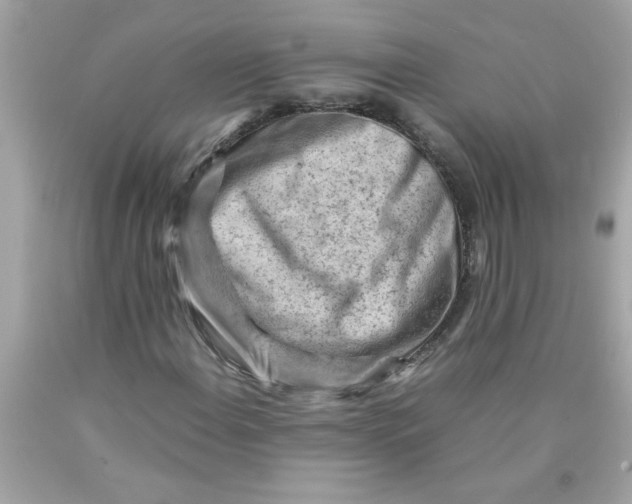 X0000089951108200707201919