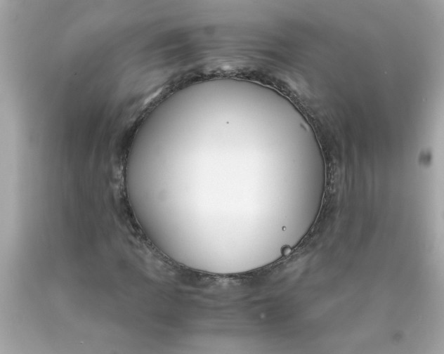 X0000089951109200707201919