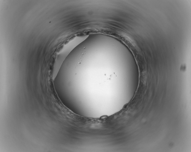 X0000089951111200707201919