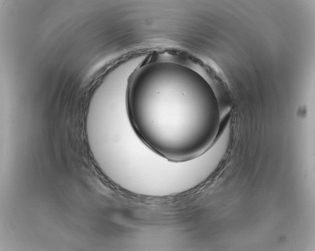 X0000089951112200707201919