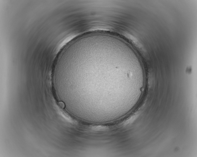 X0000089951113200707201919