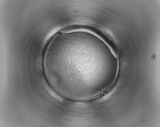 X0000089951114200707201919