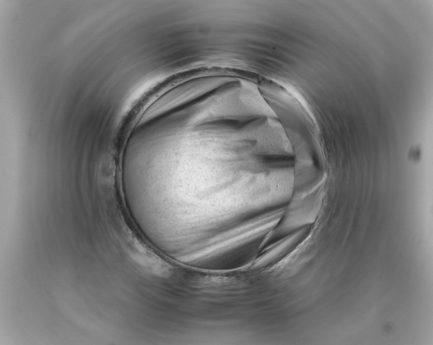 X0000089951115200707201919