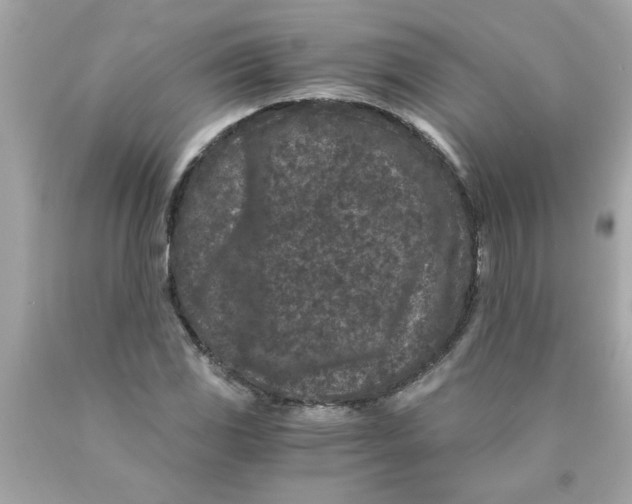 X0000089951117200707201919