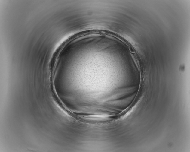 X0000089951118200707201919