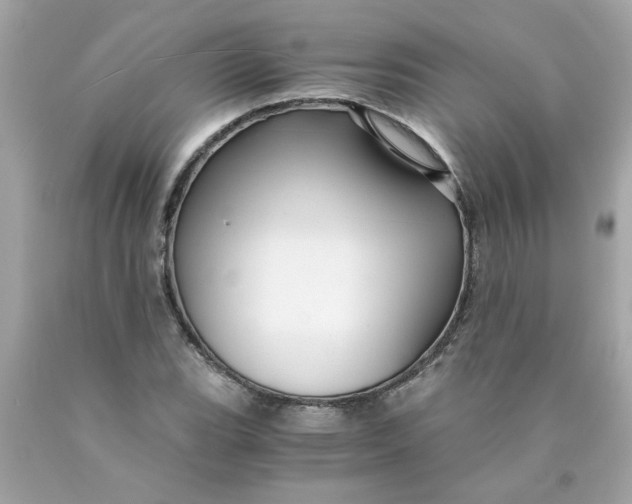 X0000089951119200707201919