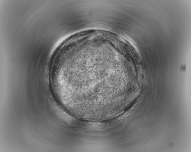 X0000089951120200707201919