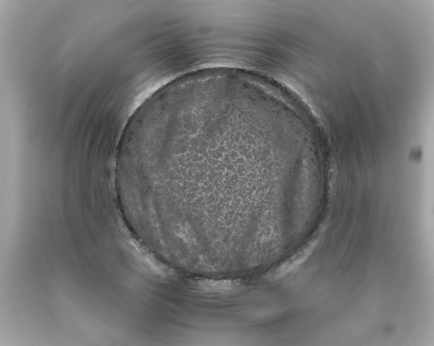 X0000089951121200707201919