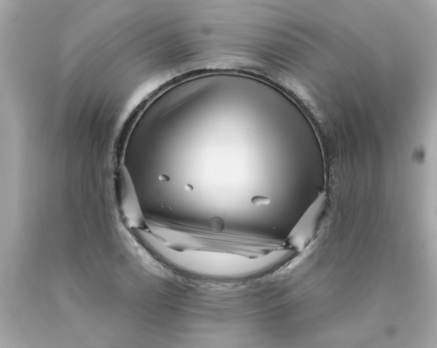 X0000089951122200707201919