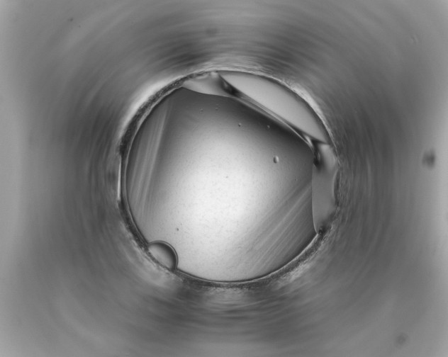 X0000089951123200707201919