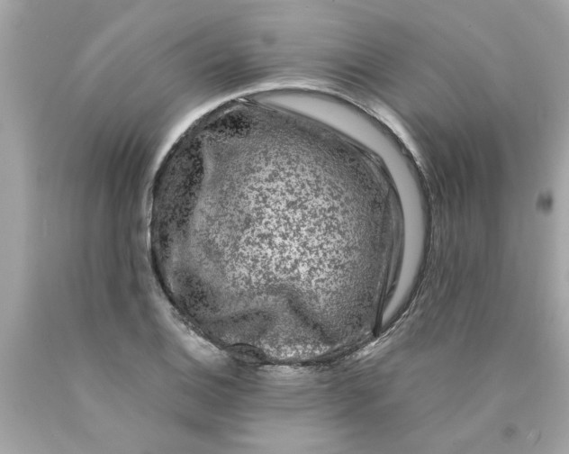 X0000089951124200707201919