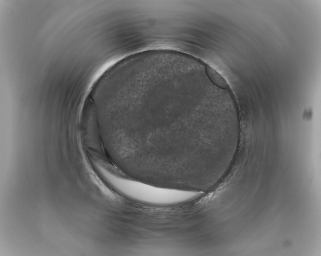 X0000089951127200707201919