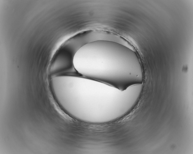 X0000089951128200707201919