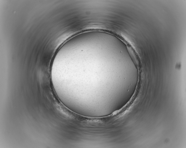 X0000089951129200707201919