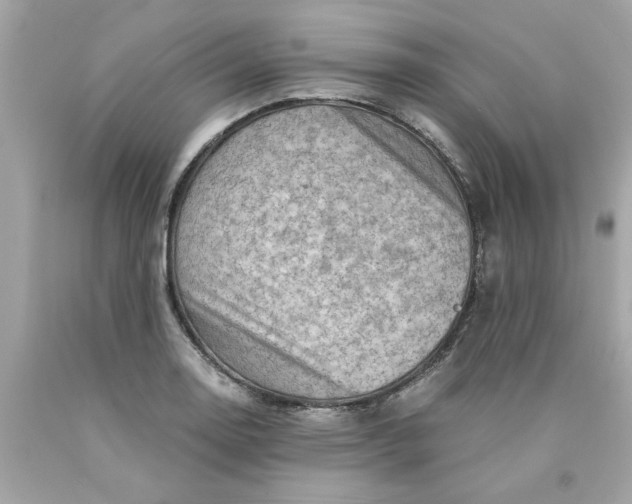 X0000089951130200707201919