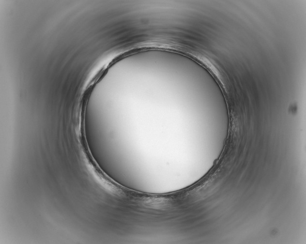 X0000089951131200707201919