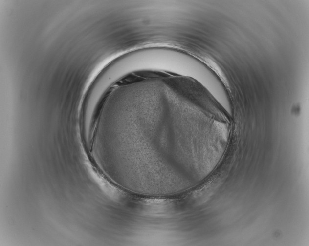 X0000089951132200707201919