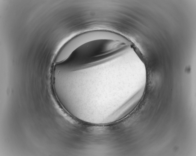 X0000089951134200707201919