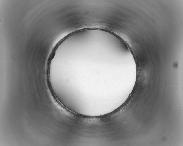 X0000089951135200707201919