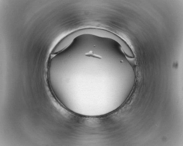 X0000089951136200707201919