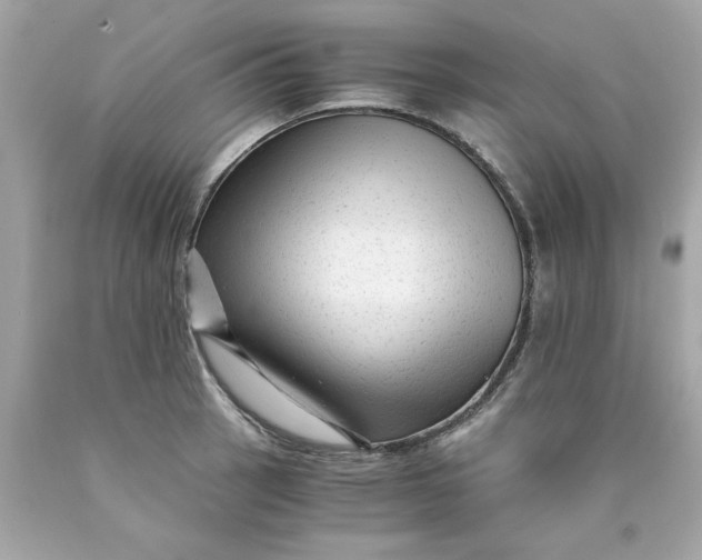 X0000089951137200707201919