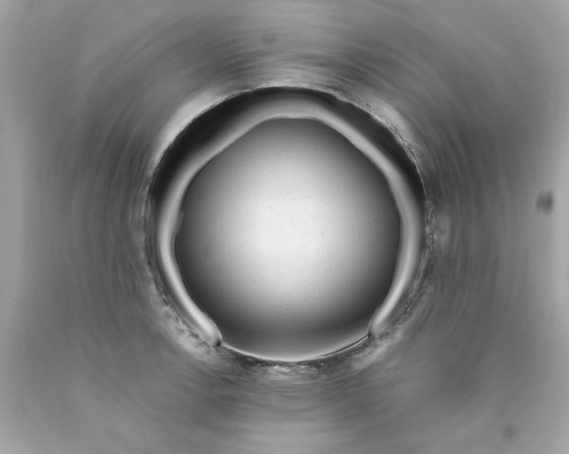 X0000089951138200707201919