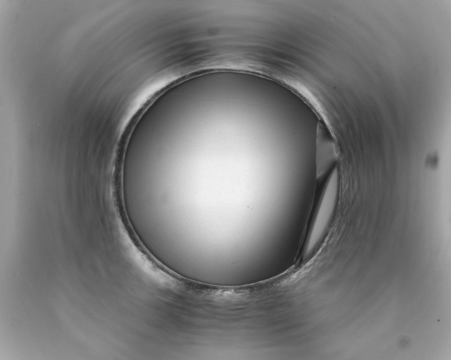 X0000089951139200707201919