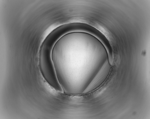 X0000089951140200707201919