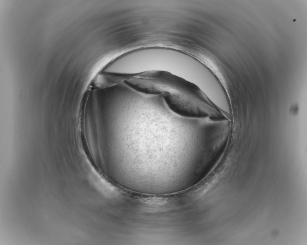 X0000089951141200707201919