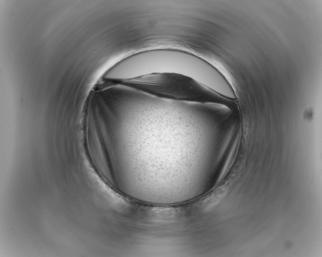 X0000089951142200707201919