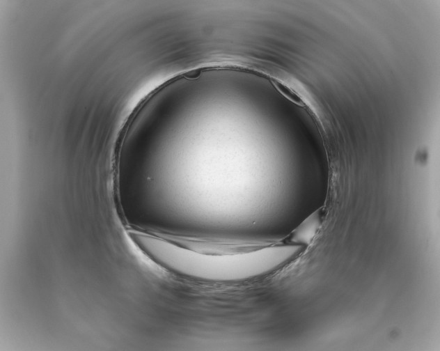 X0000089951143200707201919