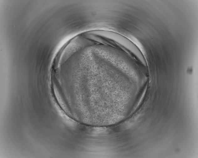 X0000089951144200707201919