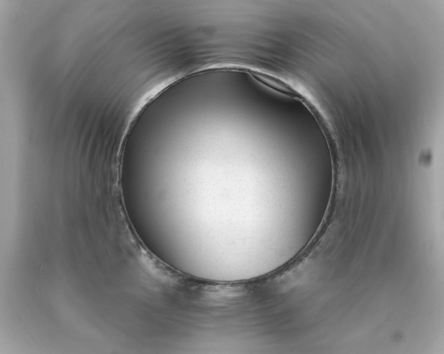 X0000089951145200707201919